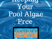 Keep Your Residential Swimming Pool Algae Free