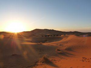 The Moroccan Sahara. A Sunset Camel Ride in Erg Chebbi.