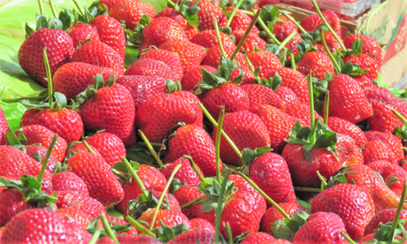 Strawberries for sale in Peir 39