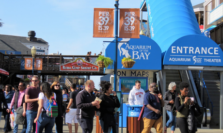 A view of Pier 39