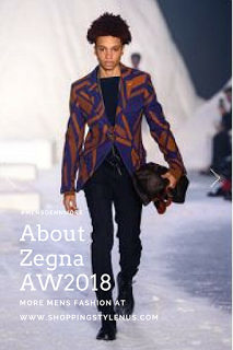 All about Zegna AW2018 collection, their logo, jaquard and more