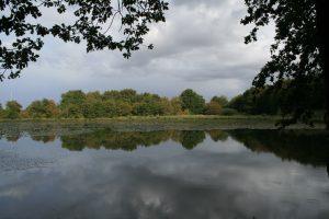 Escaping to La Brenne National Parc, France