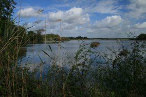 Escaping to La Brenne National Parc, France