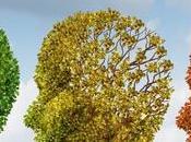 Effective Natural Treatment Alzheimer’s Disease