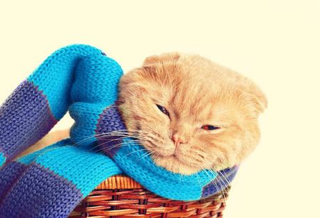 Winter Tips from #LondonWalks Guides No.2. Hats, Layers & Viking Helmets @KimDewdney, @bigfoottreasure & @jaxonharry