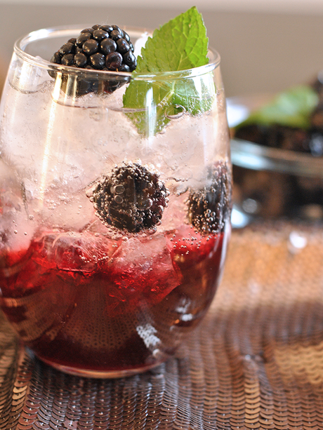 Blackberry Brandy Fizz Cocktail