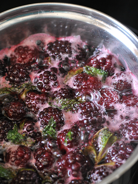 Blackberry Brandy Fizz Cocktail