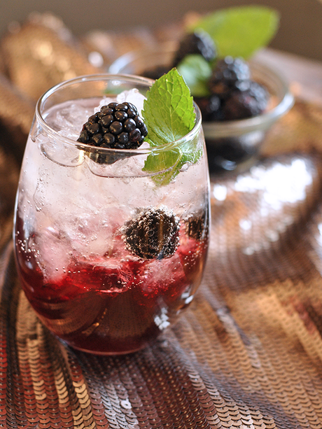 Blackberry Brandy Fizz Cocktail