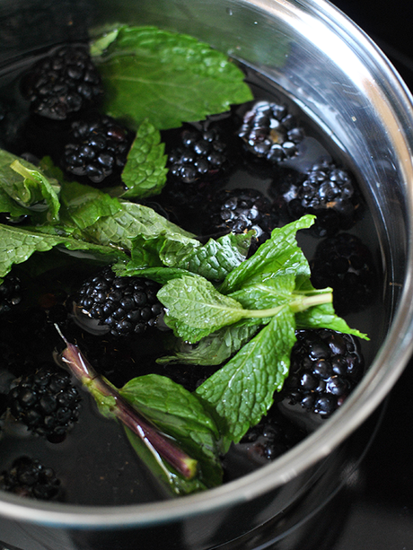 Blackberry Brandy Fizz Cocktail