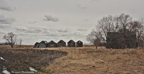 An abandoned farm