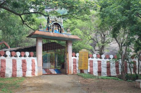 DAILY PHOTO: Temple Gate in the Woods