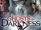 2017 Award Hidden Gems