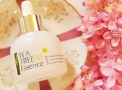 Goodble Acne Breakouts: Tree Essence Review