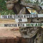 Incineration used in fight against HIV in Zimbabwe