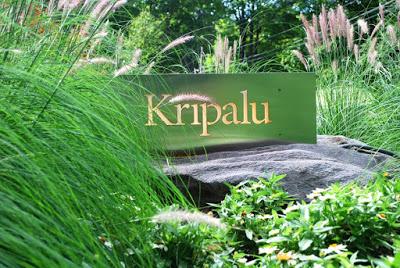 Yoga for Healthy Aging Intensive Coming to Kripalu Center, Massachusetts This Spring!