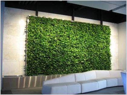 ultimate guide to living green walls