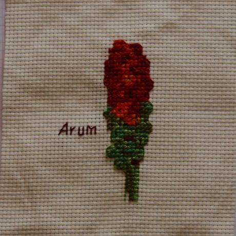 Arum cross-stitch