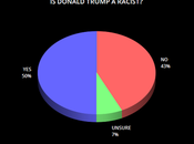 About Half Public Knows That Trump Racist