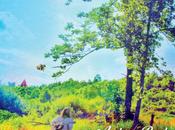 Andrew Reed World Were Right