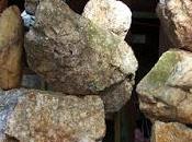 Bible Reading Plan Thoughts: Abram Built Altar