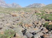 DAILY PHOTO: Mountain Creek