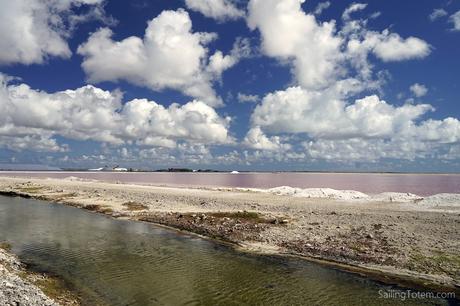 Purple tones to the salt pans at the south end of Bonaire: part of food chain that tints flamingo feathers