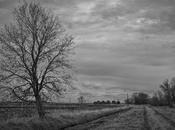 Abandoned Farm