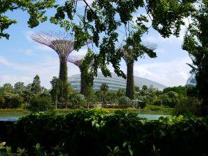 Gardens of Singapore