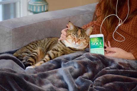 7 Podcasts To Listen To This Winter