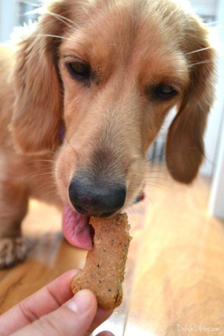 Oatmeal Peanut Butter & Blueberry Dog Treats