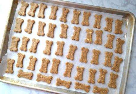 Oatmeal Peanut Butter & Blueberry Dog Treats