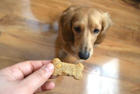 Oatmeal Peanut Butter & Blueberry Dog Treats