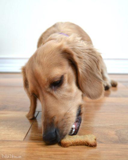 Oatmeal Peanut Butter & Blueberry Dog Treats