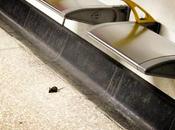 Sleekit Cow'rin Tim'rous Beastie #LondonBridge