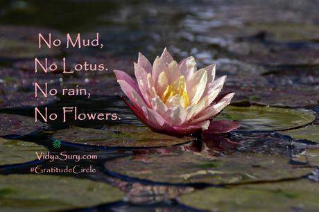 No Mud, No Lotus #GratitudeCircle