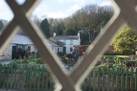 the kitchen garden at Glenarm Castle - Carrie Gault