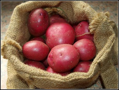 Growing potatoes in containers