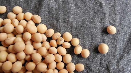 7 Health Benefits Of Soybeans