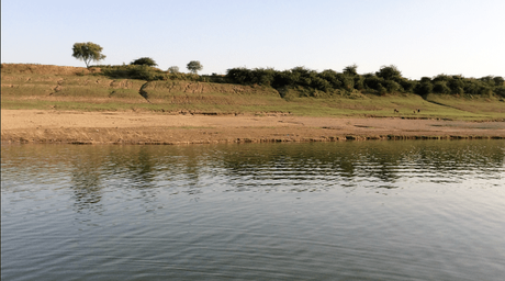 A view of the Chambal river sanctuary