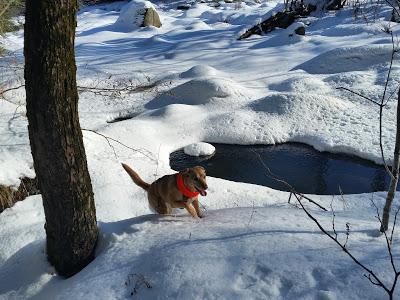 Cherokee County Park