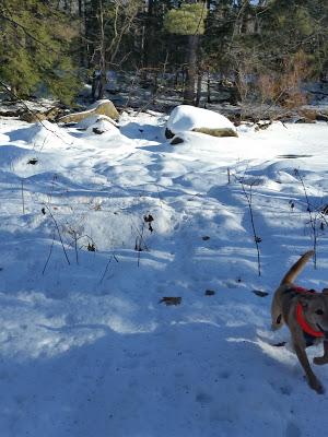 Cherokee County Park