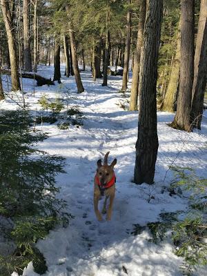 Cherokee County Park