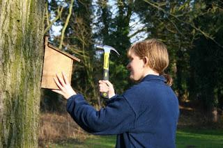 National Nest Box Week 2018