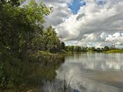 Spruce Woods Provincial Park, Canada