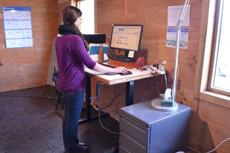 standing-desks-at-softstar-workshop