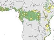 Drivers Protected-area Effectiveness Africa