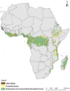 Drivers of protected-area effectiveness in Africa