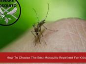 Choose Best Mosquito Repellent Kids?