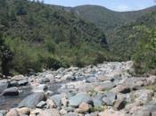 DAILY PHOTO: Scenes from David Scott Trail