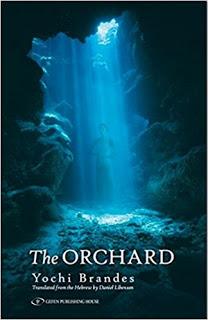 BOOK REVIEW: THE ORCHARD